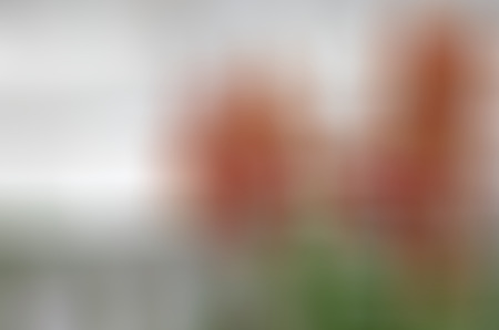 abstract blur background for webdesign, colorful background, blurred, wallpaperの写真素材