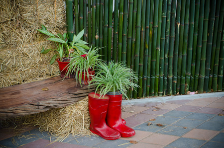 the red rubber boots  laid beside haystack. And bamboo wallsの写真素材
