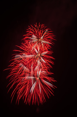 colorful fireworks on the black sky backgroundの写真素材