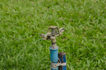 the Sprinkler watering the plants in gardenの写真素材