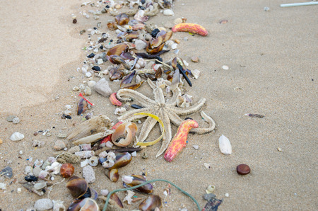 Garbage on a beach, environmental pollution concept picture.の写真素材