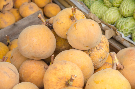 Sandoricum koetjape or Santol fruit in Thailand marketの写真素材