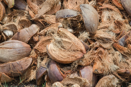 pile of coconut husk in coconut plantation