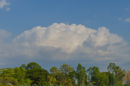 White cloud with blue sky backgroundの写真素材