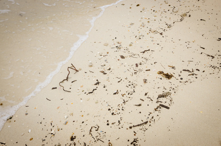 Garbage on a beach, environmental pollution concept picture.の写真素材
