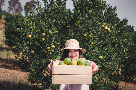 Portrait of Attractive Farmer Woman is Harvesting Orange in Organic Farm, Cheerful Girl in Happiness Emotion While Reaping Oranges in The Garden, Agriculture and Plantation Concept.の写真素材