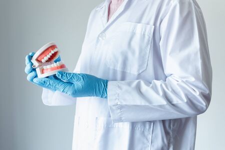 Close-Up of Dental Orthodontic Doctor is Demonstrating Instruction How to Cleaning Teeth With Jaw Tooth Model for Patient, Heathy Oral and Dental Care, Healthcare and Dentist Occupation concept.の写真素材