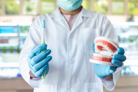 Close-Up of Dental Orthodontic Doctor Showing Toothbrush and Jaw Model for Instruction How to Cleaning Teeth to Patient, Healthcare and Dentist Occupation concept.の写真素材