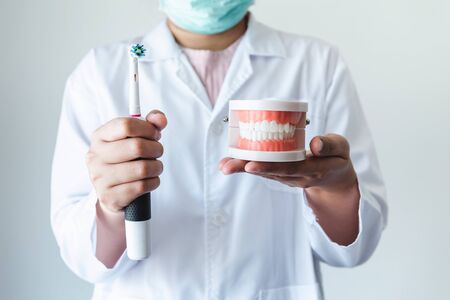 Close-Up of Dental Orthodontic Doctor Showing Toothbrush and Jaw Tooth Model for Instruction How to Cleaning Teeth to Patient, Dental Clinic Healthcare and Dentist Occupation Concept.の写真素材