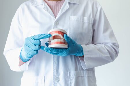 Close-Up of Dental Orthodontic Doctor is Demonstrating Instruction How to Cleaning Teeth With Jaw...