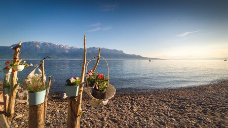 Natural Landscape Scenery View of Lake Geneva and Swiss Alps at Switzerland, Nature Scenic Horizontal Waterfront of Lake With Bouquet Flowers Decorative. Panoramic Lakeside of Geneva at Spring Seasonの写真素材