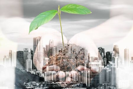 World Eco Friendly for Save The Green Earth Concept, Double Exposure Images of Woman Hands is Holding Tree Seeding With Cityscape Background. Eco Saving Green City for World Environment Sustainableの写真素材