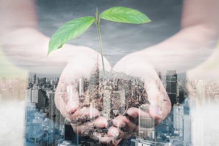 Save for Green Earth and Eco World Concept, Double Exposure Images of Woman Hands is Holding Seedling Tree and Soil on City Background. World Food and Protection Global Environmental Sustainable.の写真素材