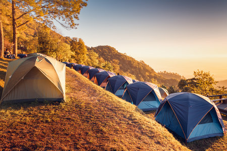Tourist Camp Tent and Terrace Under Pine Trees Forest During Sunrise, Field Campground for Camping Vacation Adventure Outdoors and Leisure Activity. Backpacking Tourism, Travel Adventures Lifestylesの写真素材