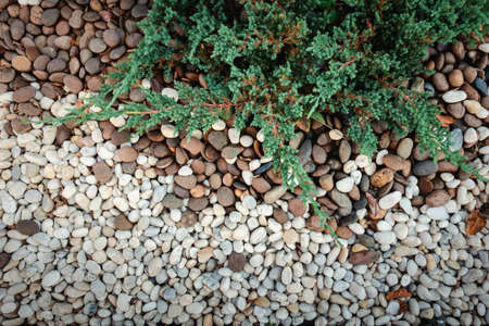 Close-Up of Nature River Gravel Abstract Backgrounds, Gravel Stone Texture Background for Home Landscape Decorative and Gardening. Exterior Landscaped Design and Flooring Decorationの写真素材