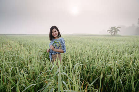 Rice Plantation Farming and Agriculture Concept, Portrait of Happy Female Asian Farmer With Holding Rice Inflorescence in Organic Farmland at Countryside of Thailand. Tropical Rural Lifestylesの写真素材