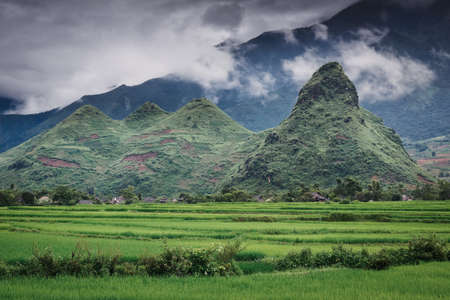 Landscaped Scenery View of Agriculture Rice Fields, Nature Landscape of Rice Terrace Field at Sapa, Vietnam. Panorama Countryside Valley Scenic With Mountain of Agricultural Farmland Background.の写真素材