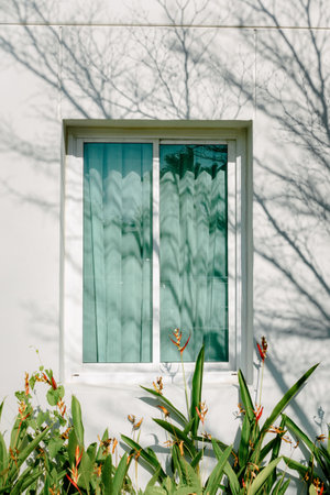 Single Modern Window and Sunight Curtain of Housing, Front Exterior View of Home Window With Outdoor Garden Decorative. Bedroom Outside View of Architecture Design and Nature Plant Gardeningの写真素材