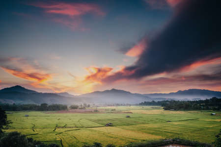 Landscaped Scenery View of Agriculture Rice Fields, Nature Landscape of Rice Terrace Field at Sunset. Panorama Countryside Valley Scenic With Mountain of Agricultural Farmland Background.の写真素材