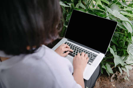 Creative Freelancer Woman Using Laptop in Cafe With Houseplant, Business Woman Online Working on Computer Laptop While Sitting Indoors Cafe. Work on Laptop and Communication Onlineの写真素材