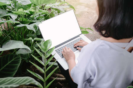 Creative Freelancer Woman Using Laptop in Cafe With Houseplant, Business Woman Online Working on Computer Laptop While Sitting Indoors Cafe. Work on Laptop and Communication Onlineの写真素材