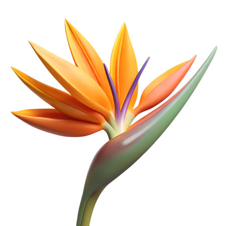 A close-up shot of a vibrant orange and blue Bird of Paradise flower in bloom, showcasing its unique and exotic shape.の写真素材