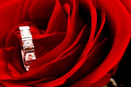 ring in roseの写真素材