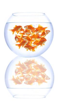 empty fish bowl on white backgroundの写真素材