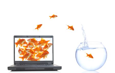 lots of goldfishes in laptop, jumping to real lifeの写真素材