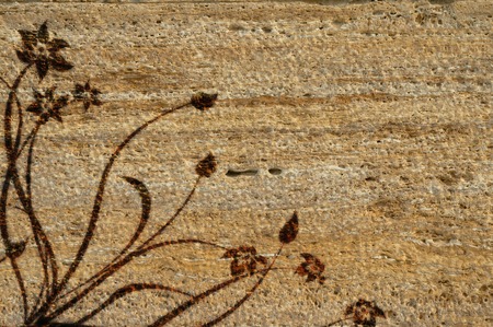 old grunge wall with vector flower ornaments