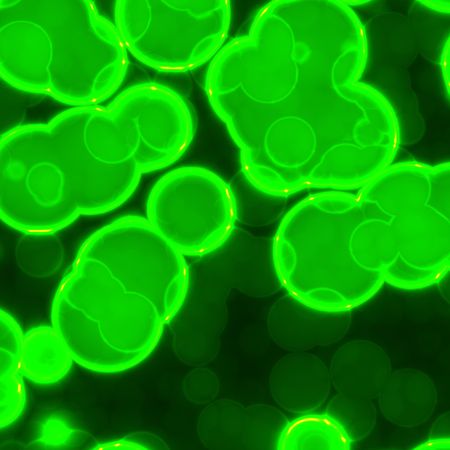 virus cells image like taken from microscopeの写真素材