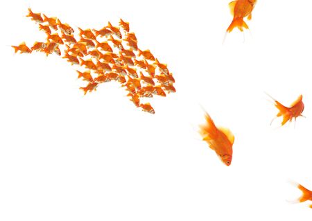 goldfishes as a team and single goldfishes, motion blur on escaping oneの写真素材
