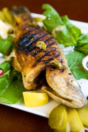 delicious sea food with salads