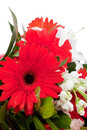 colorful daisy flowers close up on white backgroundの写真素材