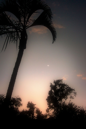 Sunset on vacation.の写真素材