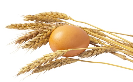 ripe ears of wheat and fresh eggsの写真素材