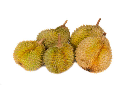 Malaysia tropical fruits durian in studio shots.の写真素材