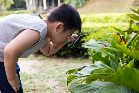 Asian Chinese little boy looking through magnifying glass at a outdoor garden.の写真素材