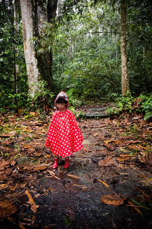 Asian Chinese little girl wearing raincoat in the tropical rain forest alone.の写真素材