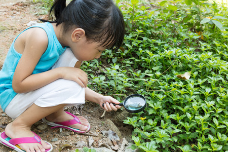 Asian Chinese little girl exploring grass with magnifying glass at outdoor.の写真素材