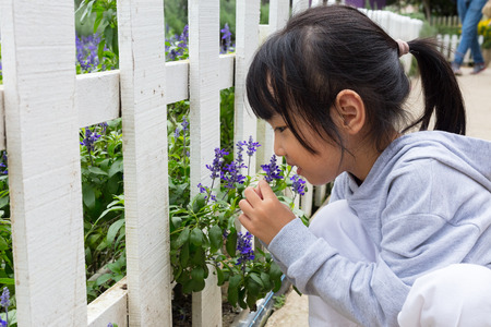 Asian chinese little girl playing next to lavender field outdoorの写真素材