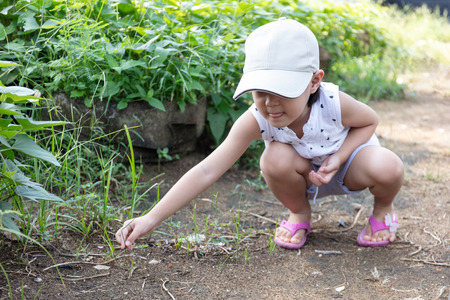 Asian Chinese Little Girl playing at organic farm outdoorの写真素材