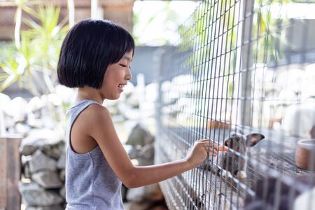 Asian Little Chinese Girl Feeding Rabbits with Carrot in the Outdoor Farmの写真素材