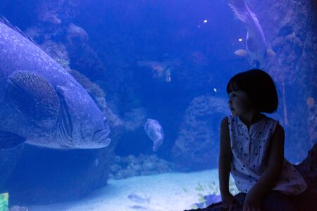 Asian Little Chinese Girl watching fishes in the aquariumの写真素材