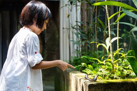 Asian Little Chinese Girl watching butterfly at the zooの写真素材