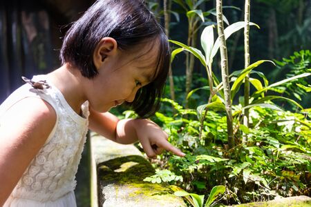 Asian Little Chinese Girl watching butterfly at the zooの写真素材