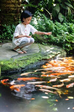 Asian Little Chinese Girl feeding fish at a gardenの写真素材