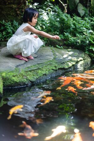 Asian Little Chinese Girl feeding fish at a gardenの写真素材