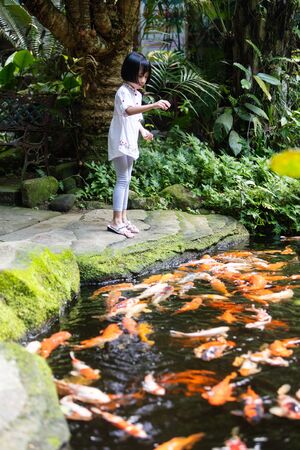 Asian Little Chinese Girl feeding fish at a gardenの写真素材