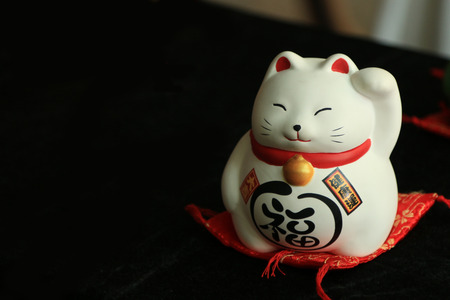 Cat coll for good luckの写真素材